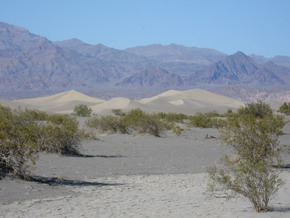 Death Valley -  Sand Dunes